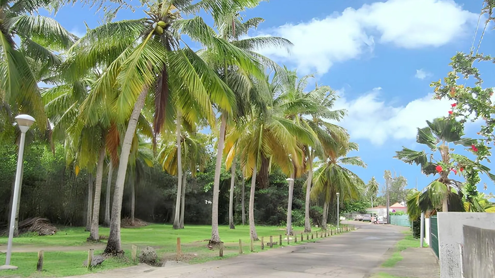 Studio Charmant A Sainte Anne Avec Terrasse 26 M² 0*, Sainte-Anne Martinique