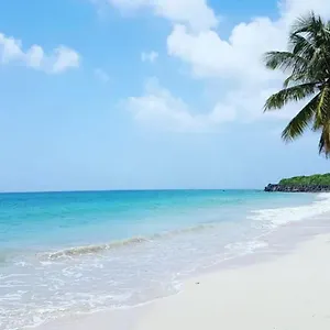 - Les Pieds Dans L'eau A 50m De La Plage, Cote Caraibe - Domaine De L'anse Caritan - - Sainte-Anne